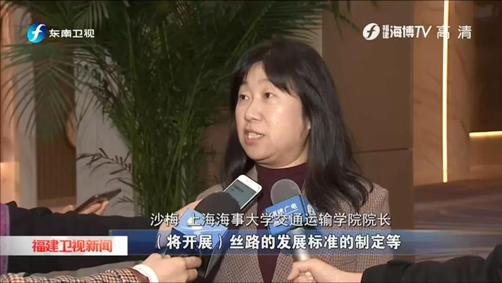 太阳城集团官方网站交通运输学院院长沙梅教授接受采访