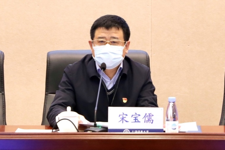 宋宝儒讲话