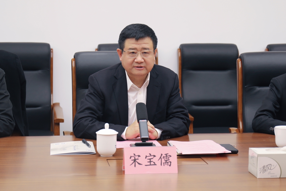 宋宝儒讲话